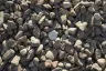 Driveway Gravel thumbnail 3