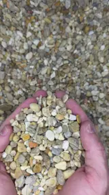 Multicolor Pea Gravel thumbnail 2