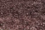 1 1/2" Red Slate thumbnail 2