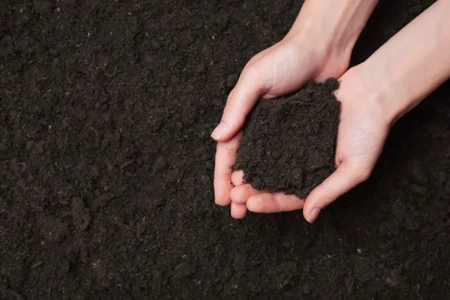 Topsoil