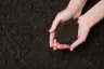 Topsoil thumbnail 1