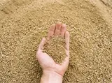 Decomposed Granite thumbnail 1