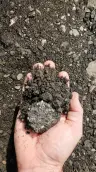 Asphalt Millings thumbnail 3