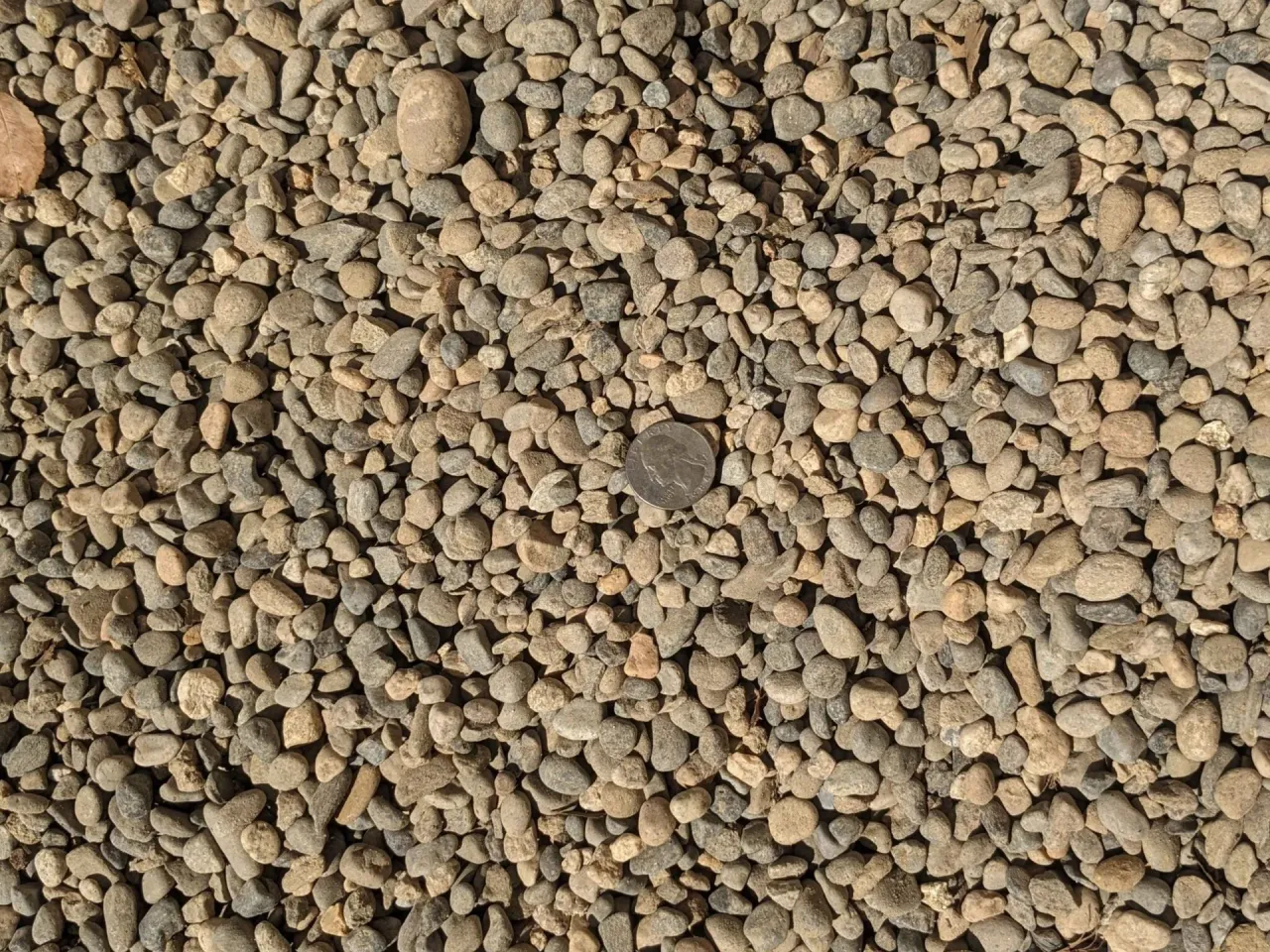3/8" Natural Pea Gravel — image 3 of 5