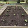 Lawn & Garden Soil thumbnail 2