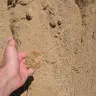 Decomposed Granite thumbnail 1