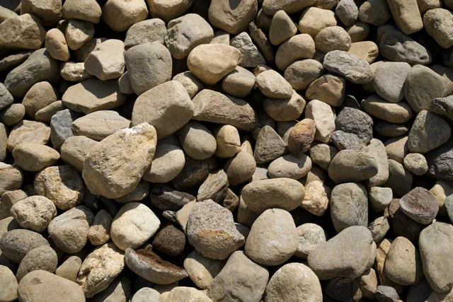 Natural Round River Stone (3"–6") — photo 3