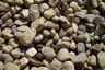 Natural Round River Stone (3"–6") thumbnail 3
