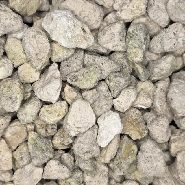 #467 Limestone