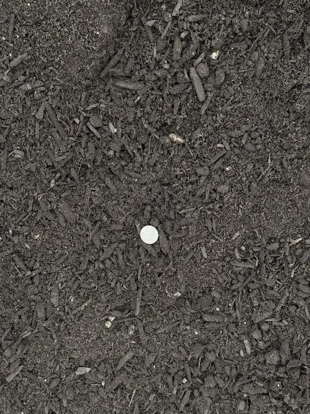 Lawn & Garden Soil — photo 2