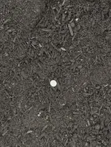 Lawn & Garden Soil thumbnail 2