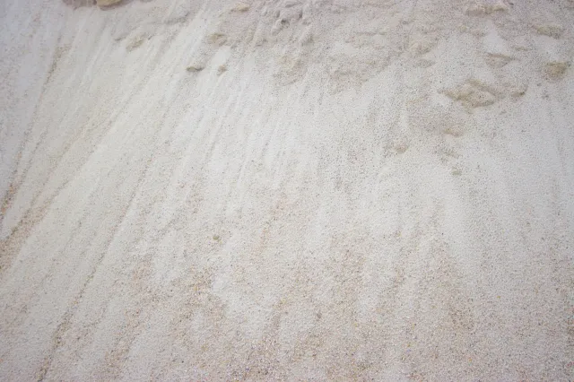 White Mason Sand — photo 3