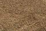 3/4" Gold Nugget thumbnail 2