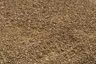 3/4" Gold Nugget thumbnail 2