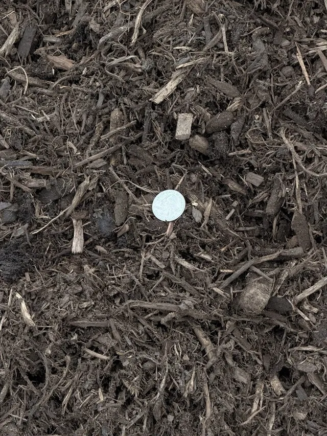Premium Native Tree Mulch — photo 2