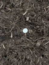Premium Native Tree Mulch thumbnail 2