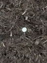 Premium Native Tree Mulch thumbnail 2