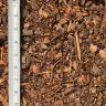 Pine Bark Mulch thumbnail 5