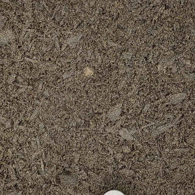 Garden Soil — photo 2