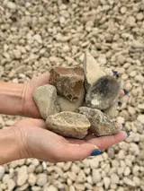 River Rock Brazos 1-3" thumbnail 3