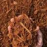 Red Hardwood Mulch thumbnail 4