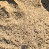 White Sand thumbnail 3