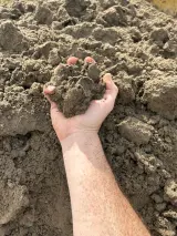 Fill / Grade