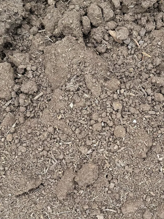 Common Fill