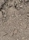 Common Fill thumbnail 1