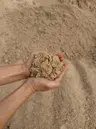 Screened Cushion Sand 1" Minus thumbnail 3