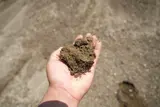 C33 Concrete Sand (3/8" Minus) thumbnail 1