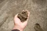 C33 Concrete Sand (3/8" Minus) thumbnail 1