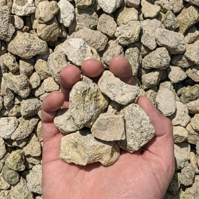 #467 Limestone — photo 4