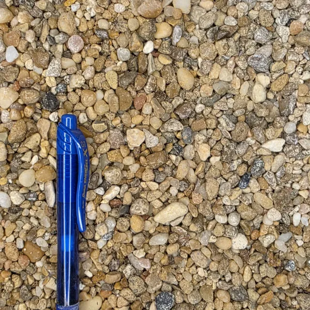 Golden Pea Gravel — photo 5