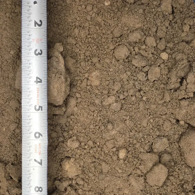 Spillway Dirt — photo 4