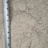 White Sand thumbnail 5
