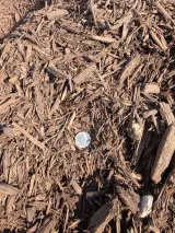 Shredded Hardwood Mulch (Brown) thumbnail 2