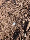 Shredded Hardwood Mulch thumbnail 1