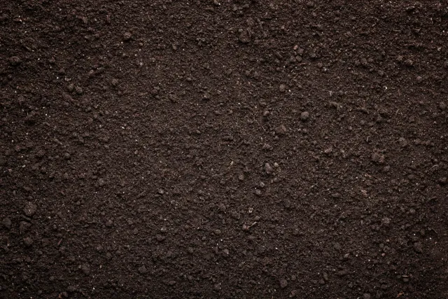 Topsoil — photo 2