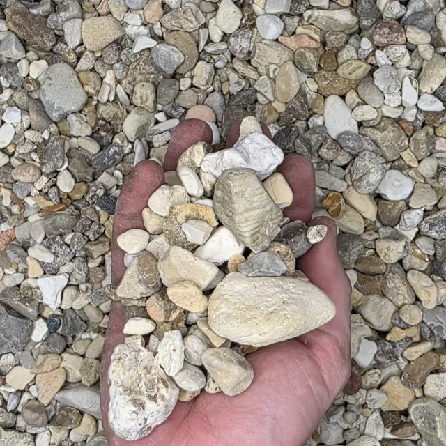 River Gravel — photo 3