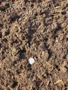 Compost Soil thumbnail 2