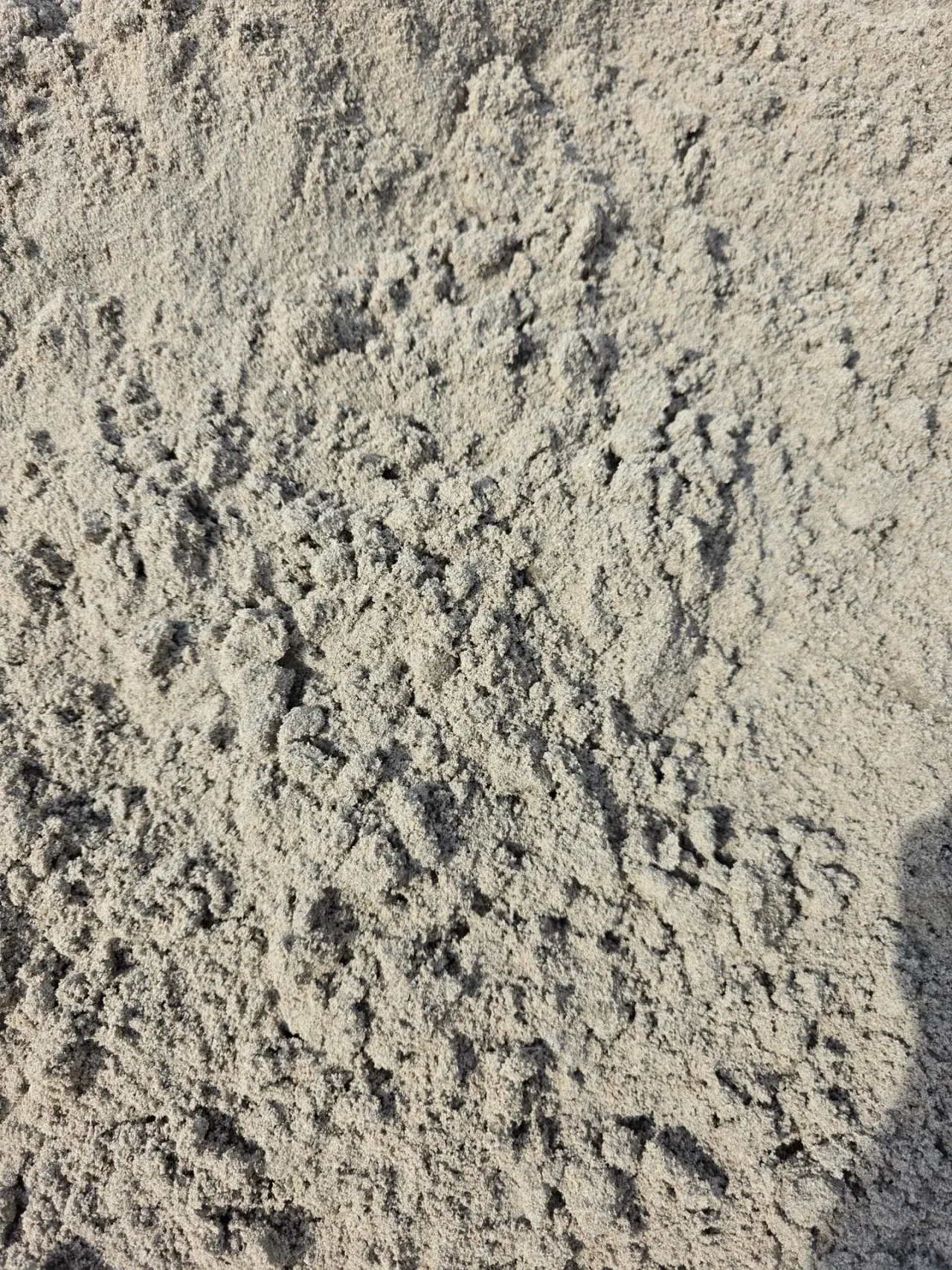 Fill Sand — image 4 of 5