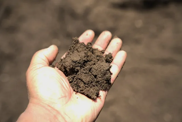 Screened Loam — photo 3