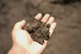 Screened Loam thumbnail 3