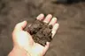 Screened Loam thumbnail 3