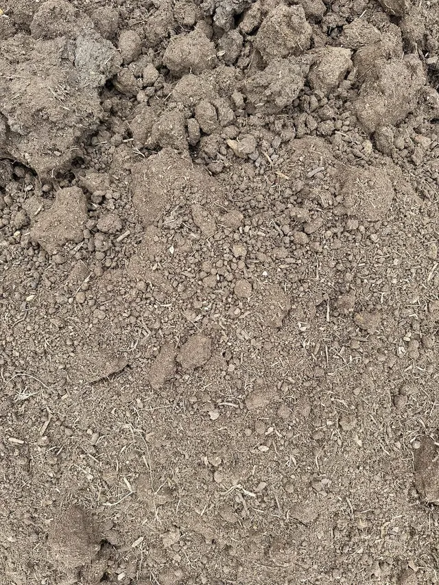 Common Fill — photo 3