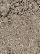 Common Fill thumbnail 3