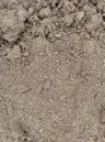 Common Fill thumbnail 3