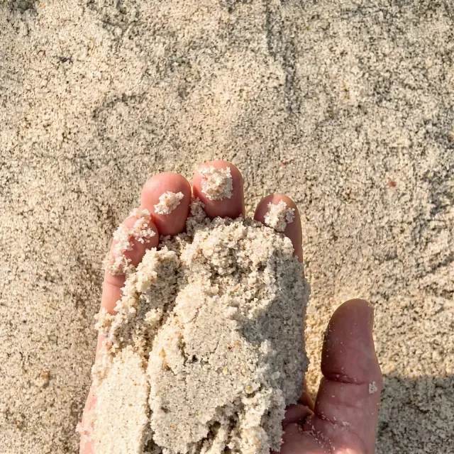 White Sand — photo 4