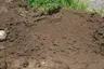 Screened Loam (1/2" Minus) thumbnail 2